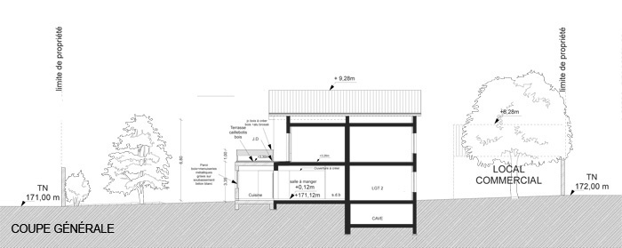 Rhabilitation et extension d'une maison de ville : COUPE copy