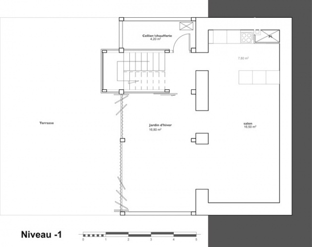 Extension et rhabilitation d'une maison : NIVEAU-01 copy